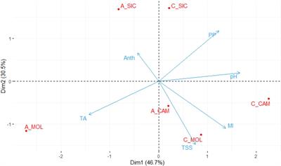 Study of red vine phenotypic plasticity across central-southern Italy sites: an integrated analysis of the transcriptome and weather indices through WGCNA